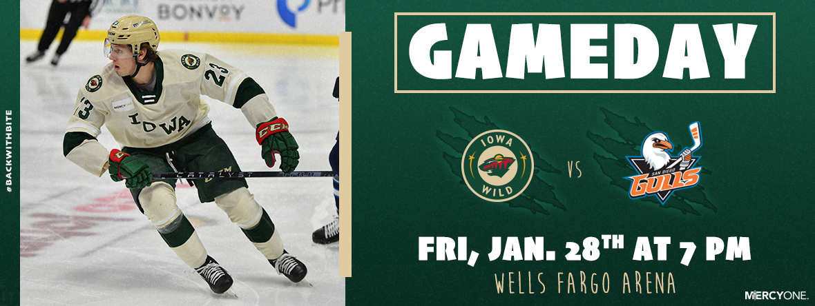 GAMEDAY PREVIEW - IOWA WILD VS SAN DIEGO GULLS