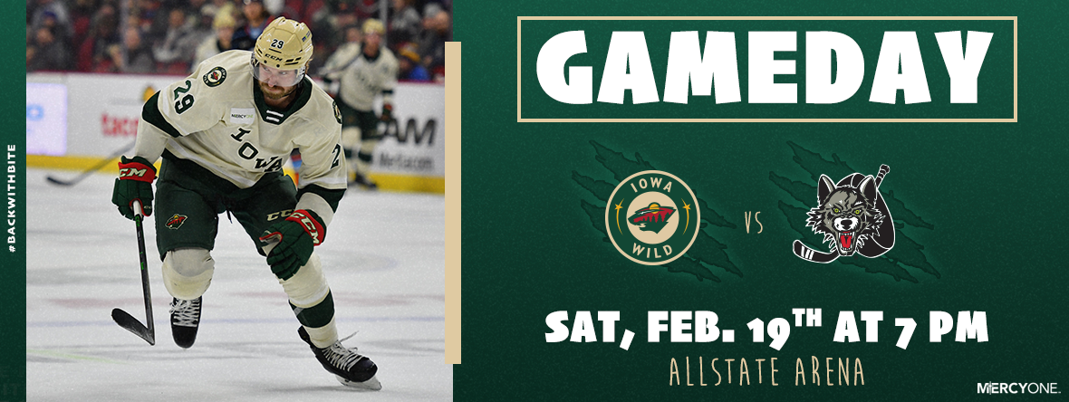 GAMEDAY PREVIEW - IOWA WILD AT CHICAGO WOLVES | Iowa Wild