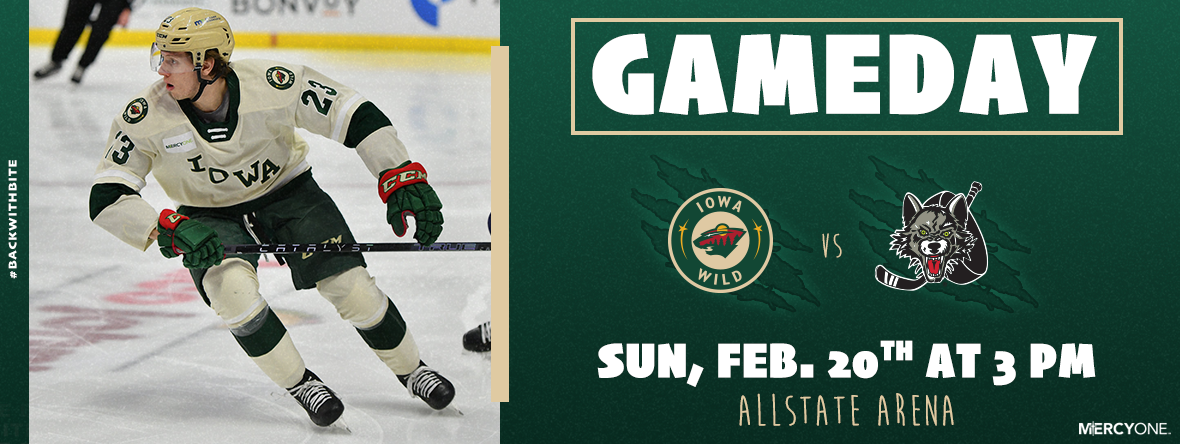 GAMEDAY PREVIEW - IOWA WILD AT CHICAGO WOLVES