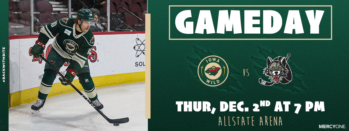 GAMEDAY PREVIEW - IOWA WILD AT CHICAGO WOLVES