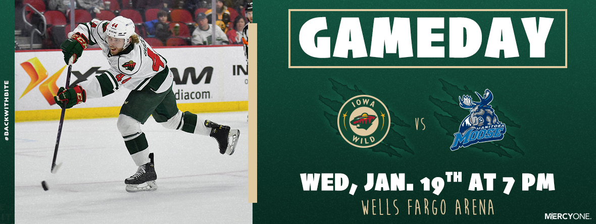 GAMEDAY PREVIEW - IOWA WILD VS MANITOBA MOOSE