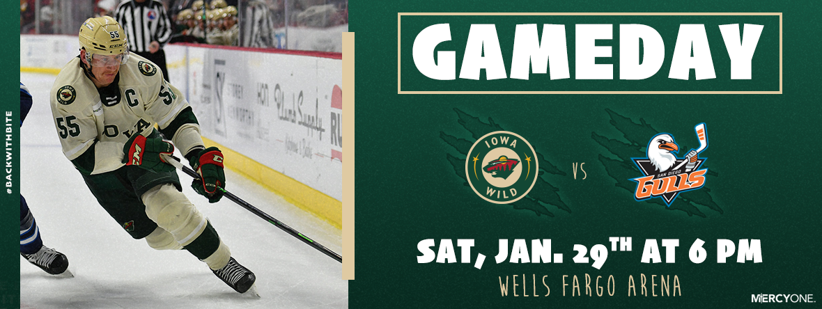 GAMEDAY PREVIEW - IOWA WILD VS SAN DIEGO GULLS