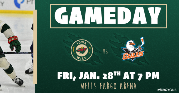 PREVIEW: Gulls Host Eagles On Pink In The Rink