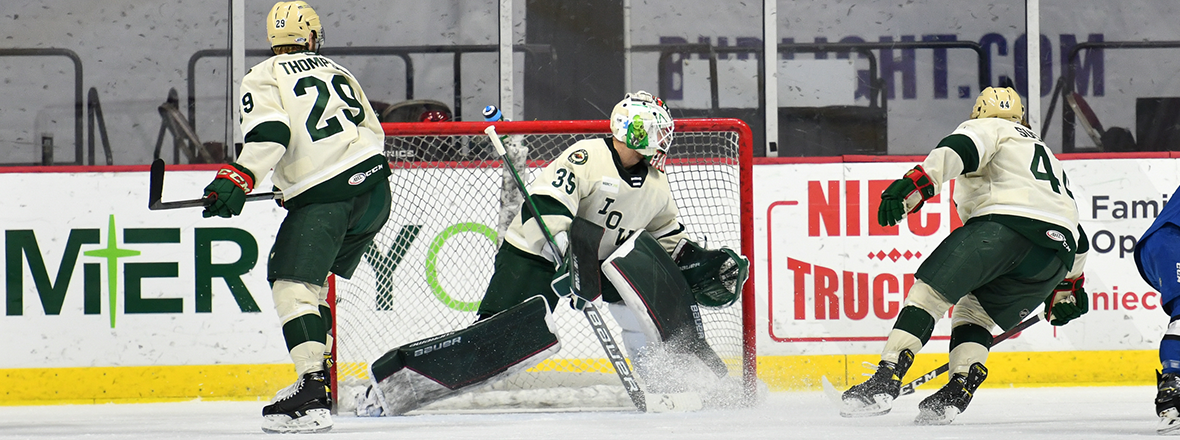 MINNESOTA WILD RECALLS GOALTENDER ANDREW HAMMOND FROM IOWA