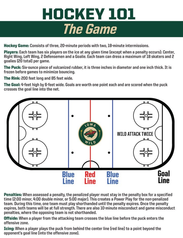 Hockey101pg1.jpg