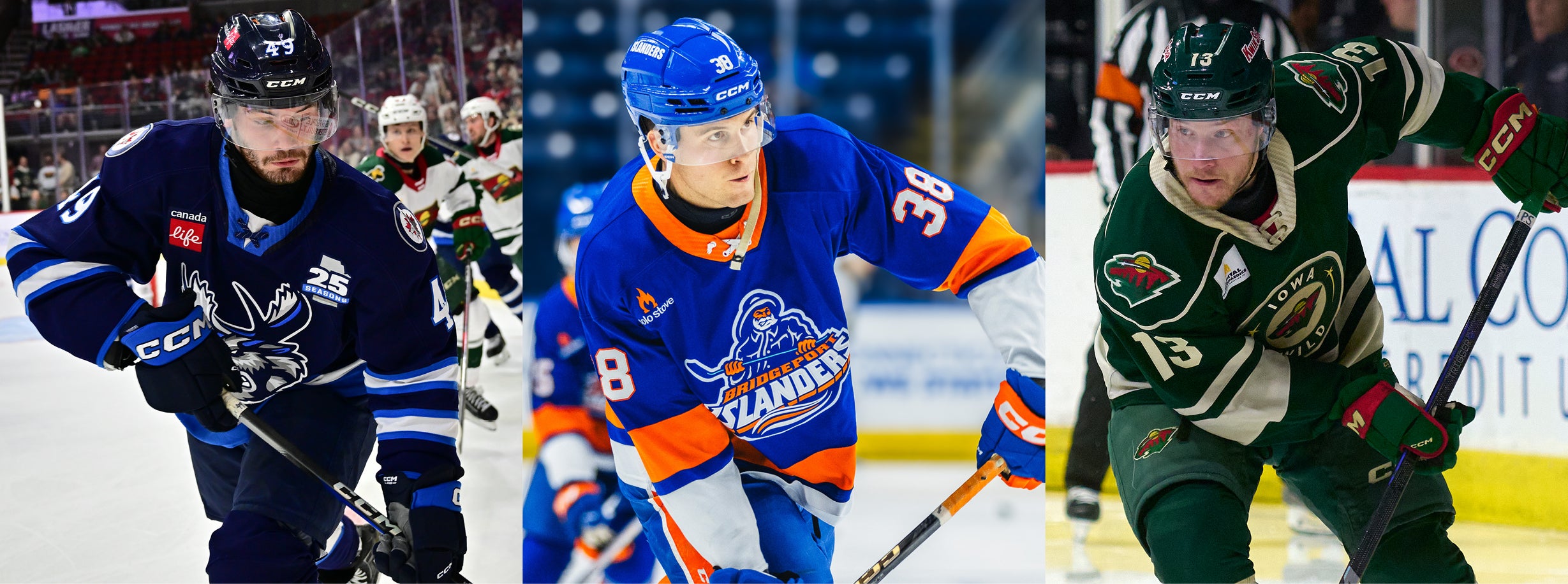 IOWA WILD SIGNS LIWISKI, NEWPOWER, AND SANDELIN