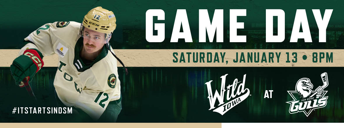 GAME PREVIEW: IOWA WILD AT SAN DIEGO GULLS 