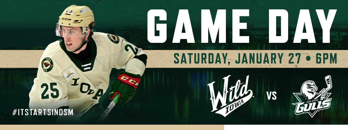 GAME PREVIEW: IOWA WILD VS. SAN DIEGO GULLS 