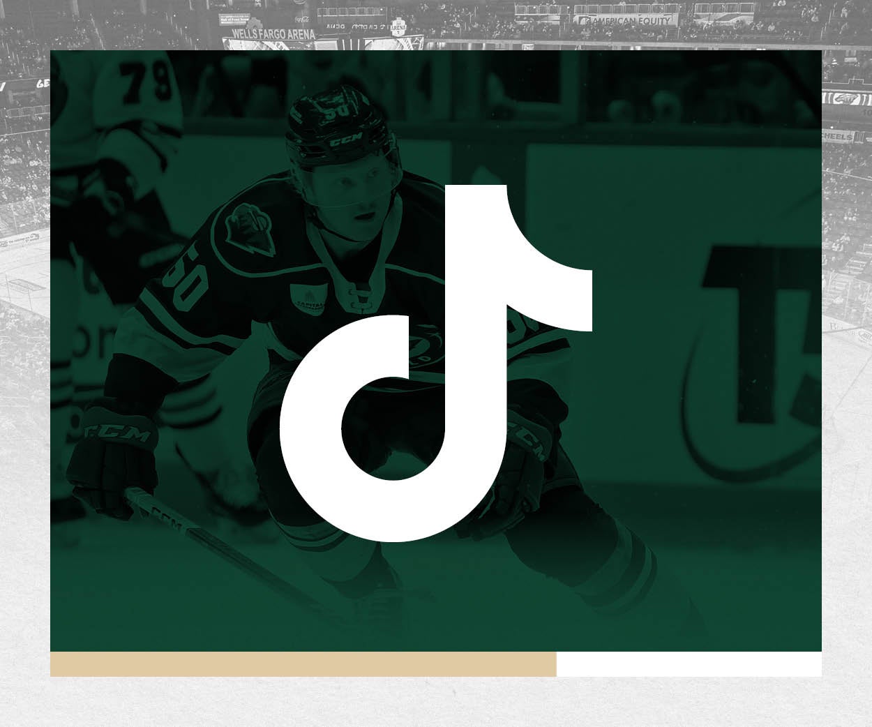 IAWild_Website_Headers&Tiles;_24-25_TikTok.jpg