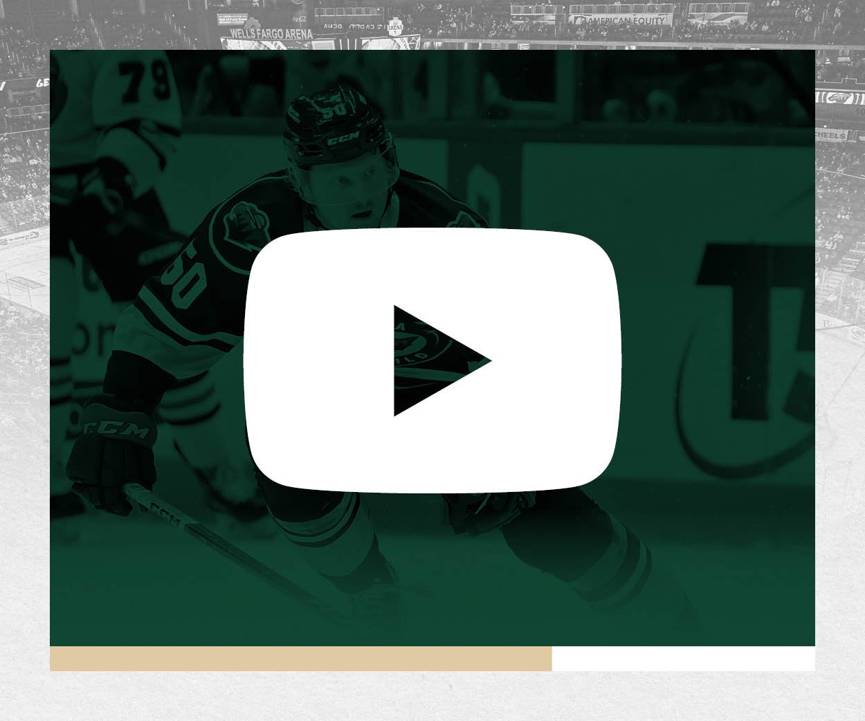 IAWild_Website_Headers&Tiles;_24-25_YouTube.jpg