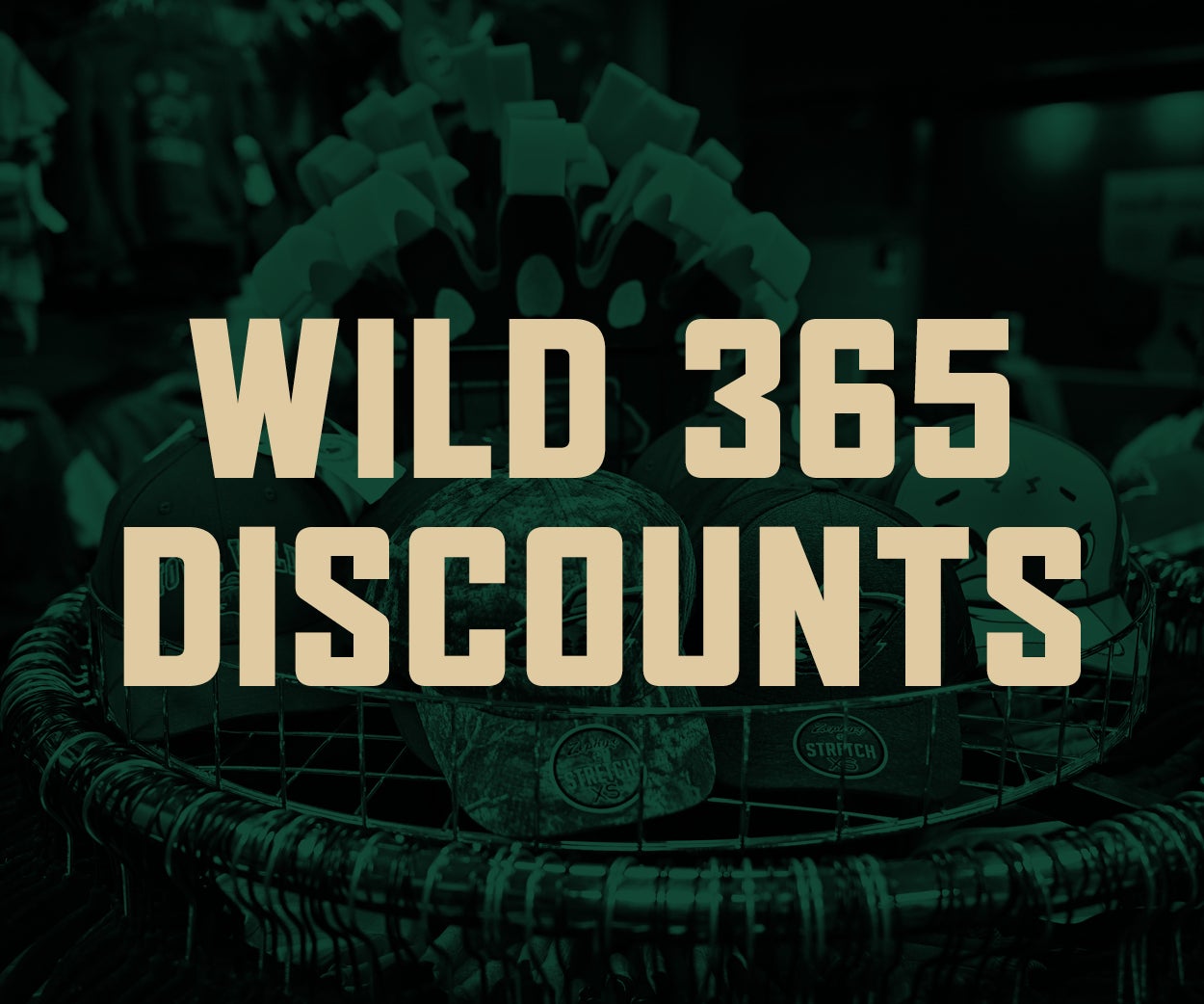 IAWild_Website_Tiles_25-2614.jpg