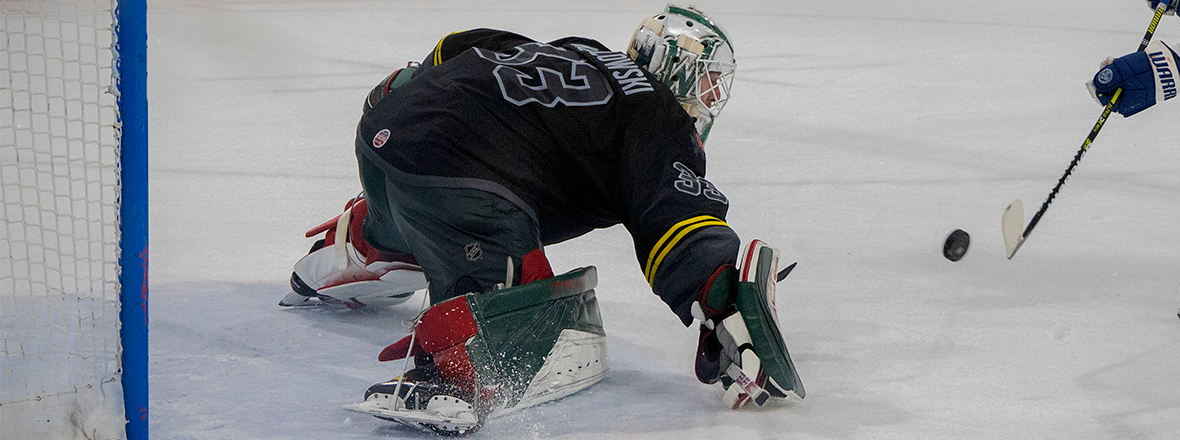 IOWA WILD RECALLS GOALTENDER KOZLOWSKI FROM IOWA HEARTLANDERS 