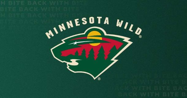 mn wild desktop