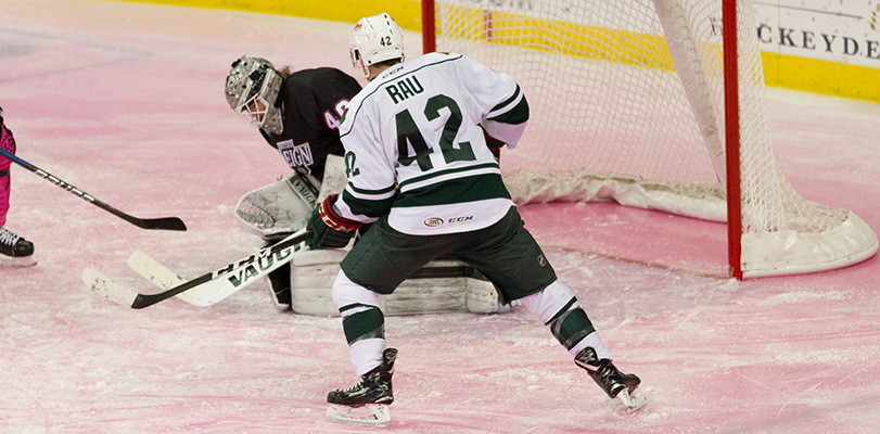 WILD FALLS TO REIGN 5-1