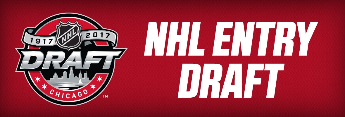 MINNESOTA SELECTS SIX PLAYERS AT 2017 NHL ENTRY DRAFT