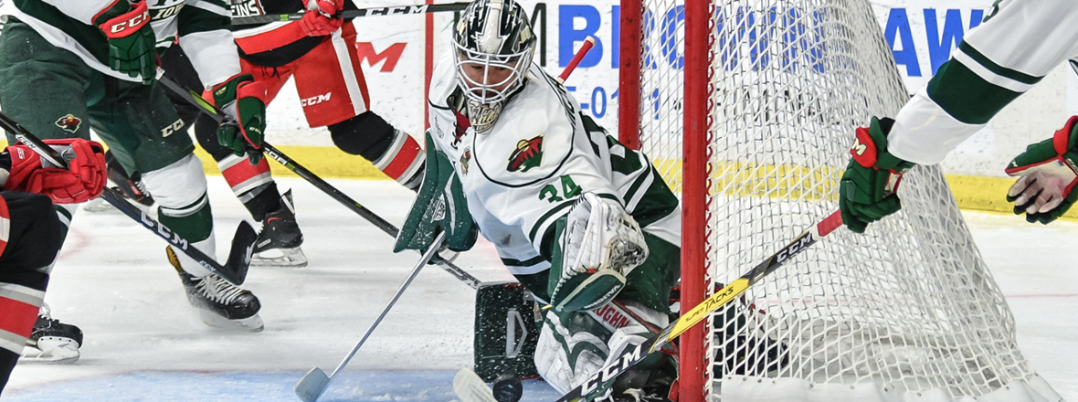 MINNESOTA RECALLS GOALIE STEVE MICHALEK FROM IOWA