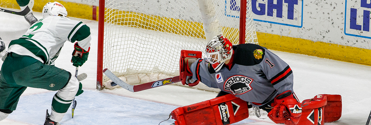 IOWA WILD BEATS ROCKFORD ICEHOGS 5-3