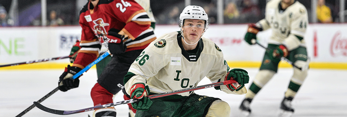 MINNESOTA WILD RECALLS JOHNSON AND STURM, REASSIGNS KAHKONEN