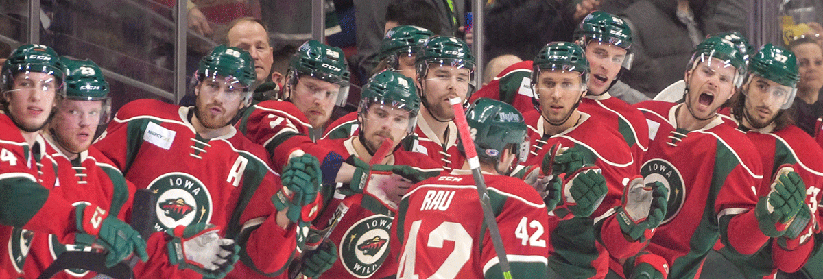 VETERANS HAVE PROVED KEY TO WILD IN CHASE FOR FIRST PLAYOFF APPEARANCE