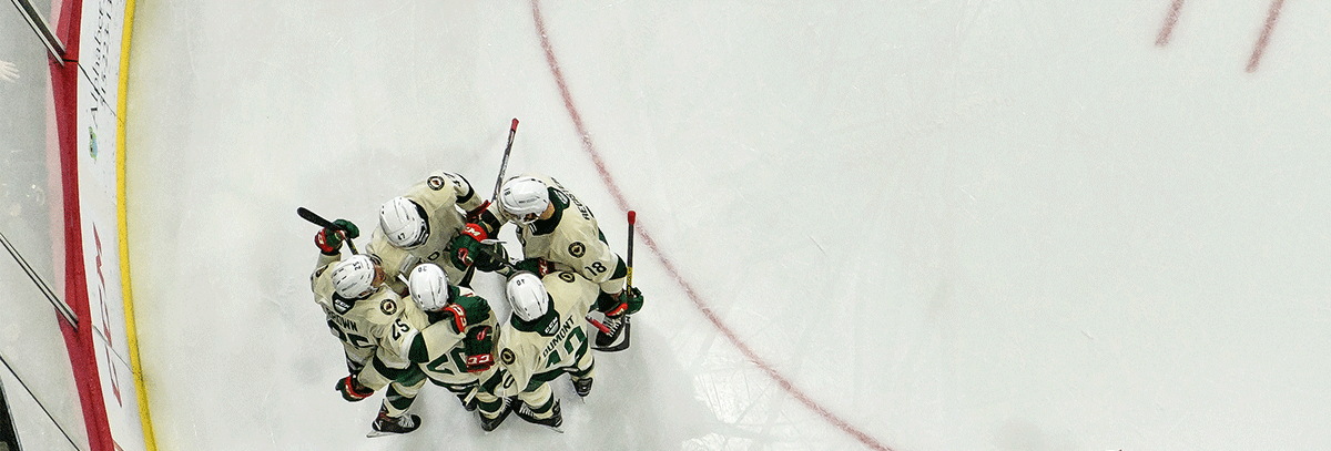 AFTER WEEKEND SPLIT, WILD LOOKING FOR POWER PLAY IMPROVEMENT