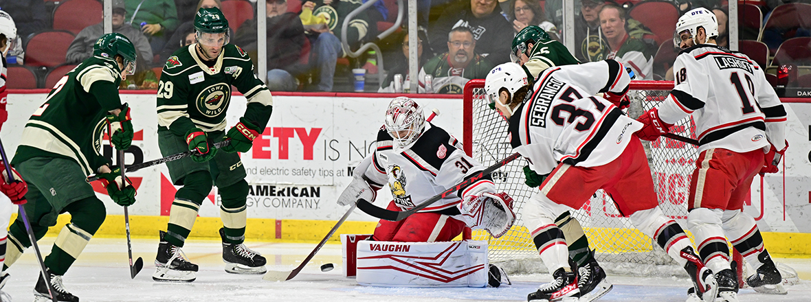 GRIFFINS MOUNT COMEBACK, WILD EARN POINT IN 4-3 SO LOSS