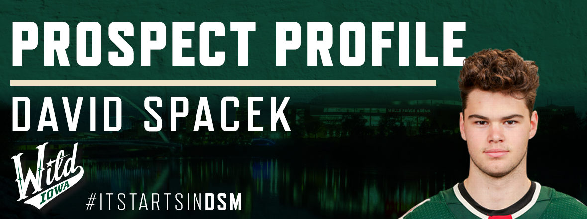 PROSPECT PROFILE: DAVID SPACEK